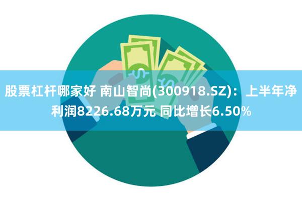 股票杠杆哪家好 南山智尚(300918.SZ)：上半年净利润8226.68万元 同比增长6.50%