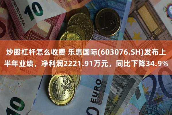 炒股杠杆怎么收费 乐惠国际(603076.SH)发布上半年业绩，净利润2221.91万元，同比下降34.9%