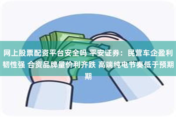 网上股票配资平台安全吗 平安证券：民营车企盈利韧性强 合资品牌量价利齐跌 高端纯电节奏低于预期