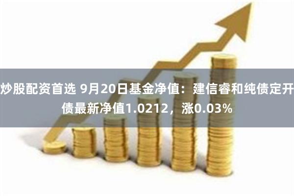 炒股配资首选 9月20日基金净值：建信睿和纯债定开债最新净值1.0212，涨0.03%