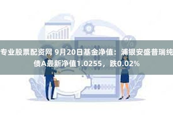 专业股票配资网 9月20日基金净值：浦银安盛普瑞纯债A最新净值1.0255，跌0.02%