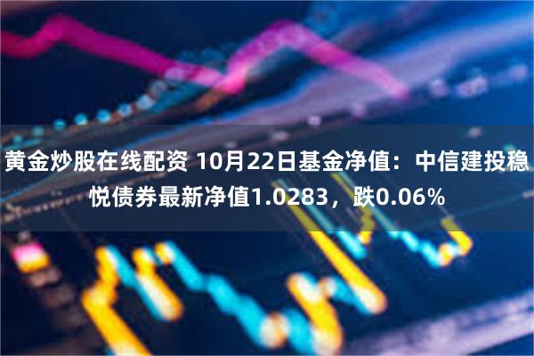 黄金炒股在线配资 10月22日基金净值：中信建投稳悦债券最新净值1.0283，跌0.06%