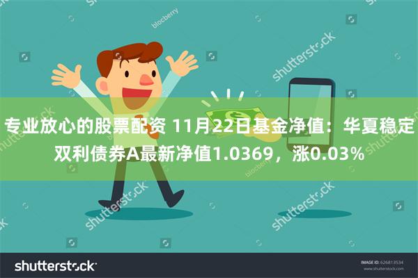 专业放心的股票配资 11月22日基金净值：华夏稳定双利债券A最新净值1.0369，涨0.03%