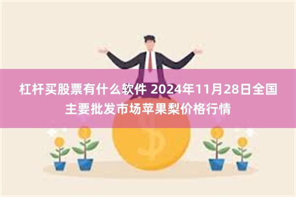 杠杆买股票有什么软件 2024年11月28日全国主要批发市场苹果梨价格行情