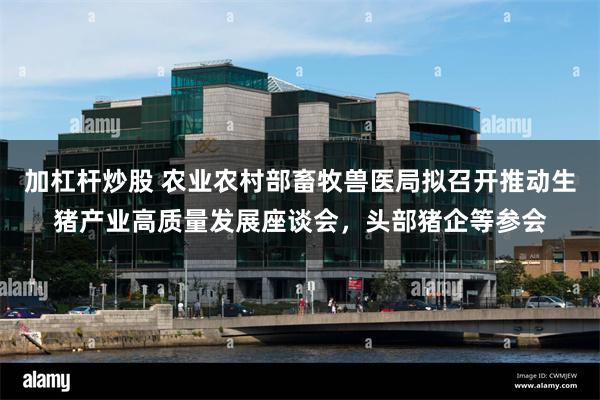 加杠杆炒股 农业农村部畜牧兽医局拟召开推动生猪产业高质量发展座谈会，头部猪企等参会